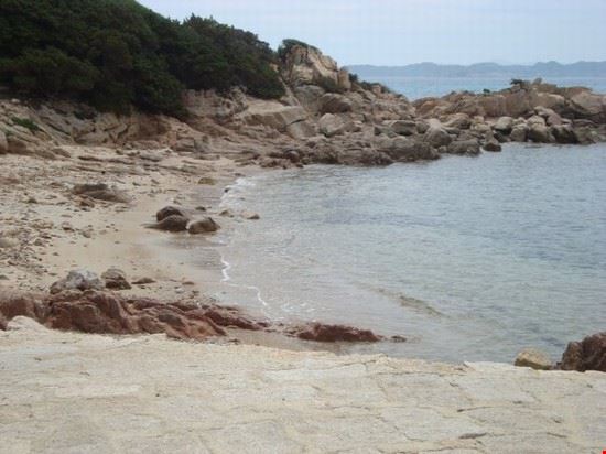  Olbia  
