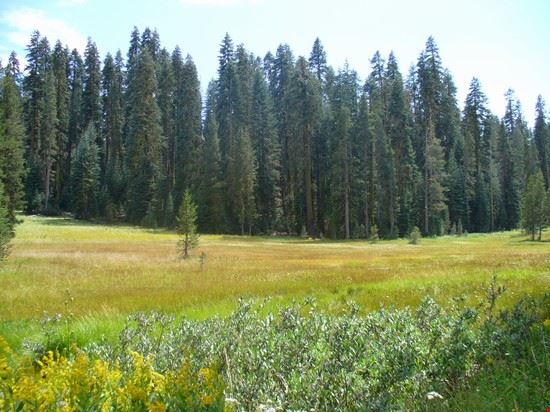  Yosemite National Park  