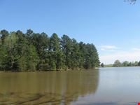 memphis shelby farms park