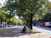 berlin unter den linden im fruehling
