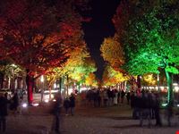 berlin unter den linden zum festival of lights