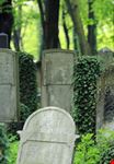 Il cimitero ebraico a Cracovia