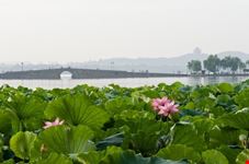 hangzhou lotus westlake 8