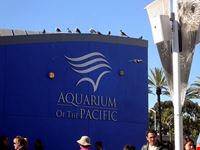 long beach aquarium of the pacific