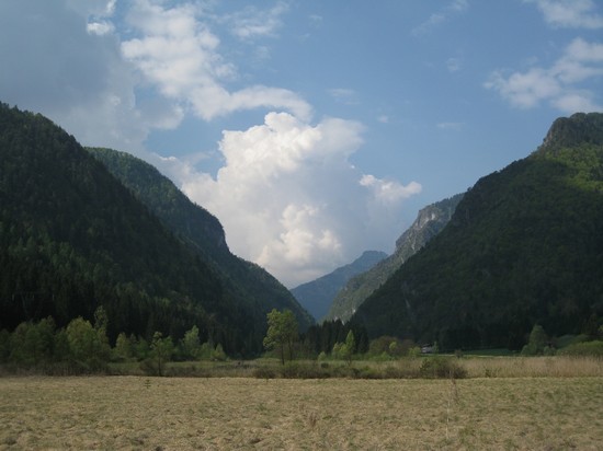 biotopo