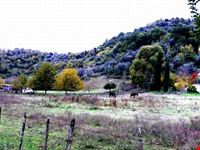 Sfumature