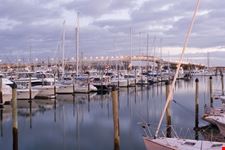 auckland westhaven marina