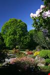 christchurch farbenspiel im hagley park