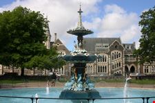 christchurch hagley park