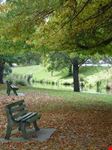 christchurch hagley park