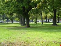 christchurch herbst im hagley park