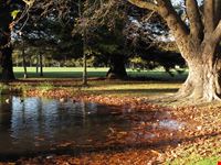 christchurch herbst