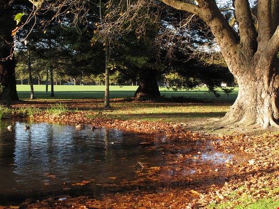  Christchurch profernity - Creative Commons profernity