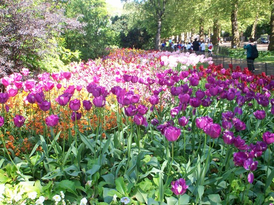 St James Park