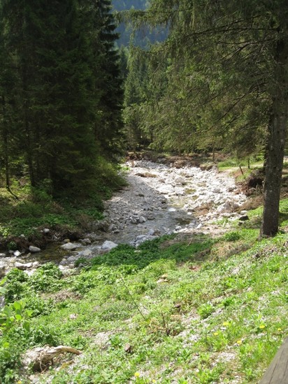 Valle di Ledro Loc. Il faggio