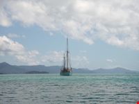 the great barrier reef cairns