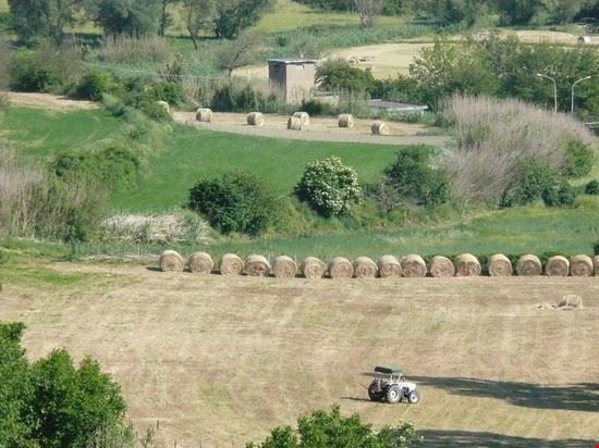  Vita in campagna  