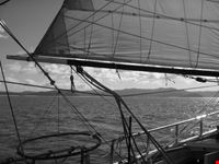 the great barrier reef cairns