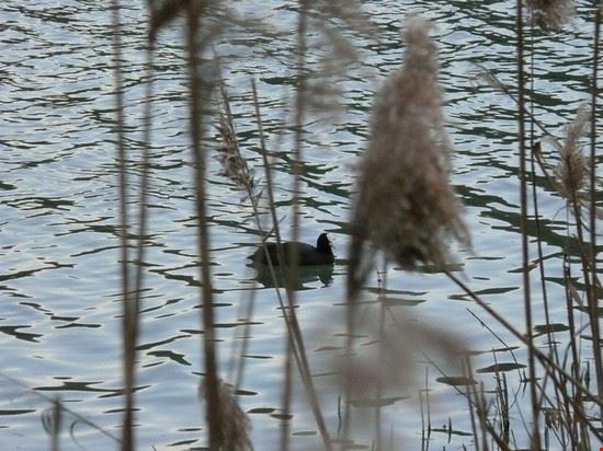  Nel silenzio in ascolto della natura  