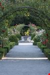 christchurch botanic garden