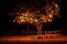 negril nightlife