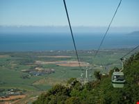 foresta pluviale-dintorni cairns-kuranda cairns