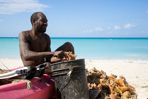  Negril By Simone Tramonte - Creative Commons By Simone Tramonte