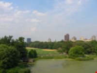 In Central Park