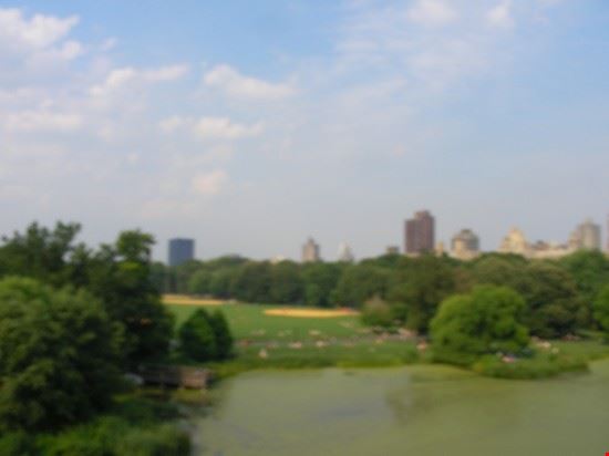 Central Park New York  