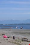 vancouver centennial beach