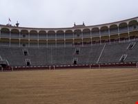 l arena madrid