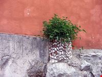 rabac