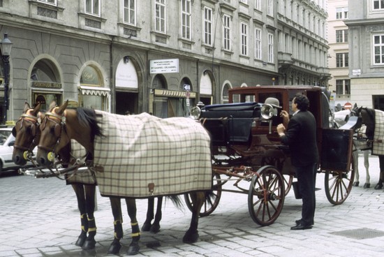 carrozza vienna