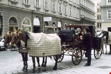 carrozza vienna
