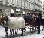 carrozza vienna carrozza vienna