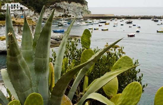 Veduta delle piscine naturali