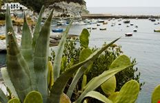 Veduta delle piscine naturali