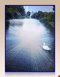 Regent's Park