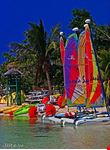 negril sports
