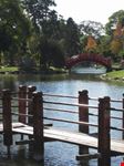 Japanese Garden