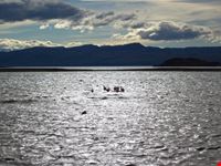 Tierra del Fuego