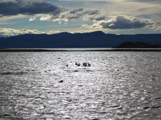  Ushuaia  