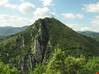 terni terni