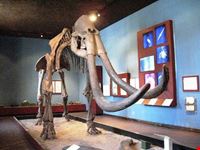 guadalajara museum