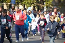budapest marathon
