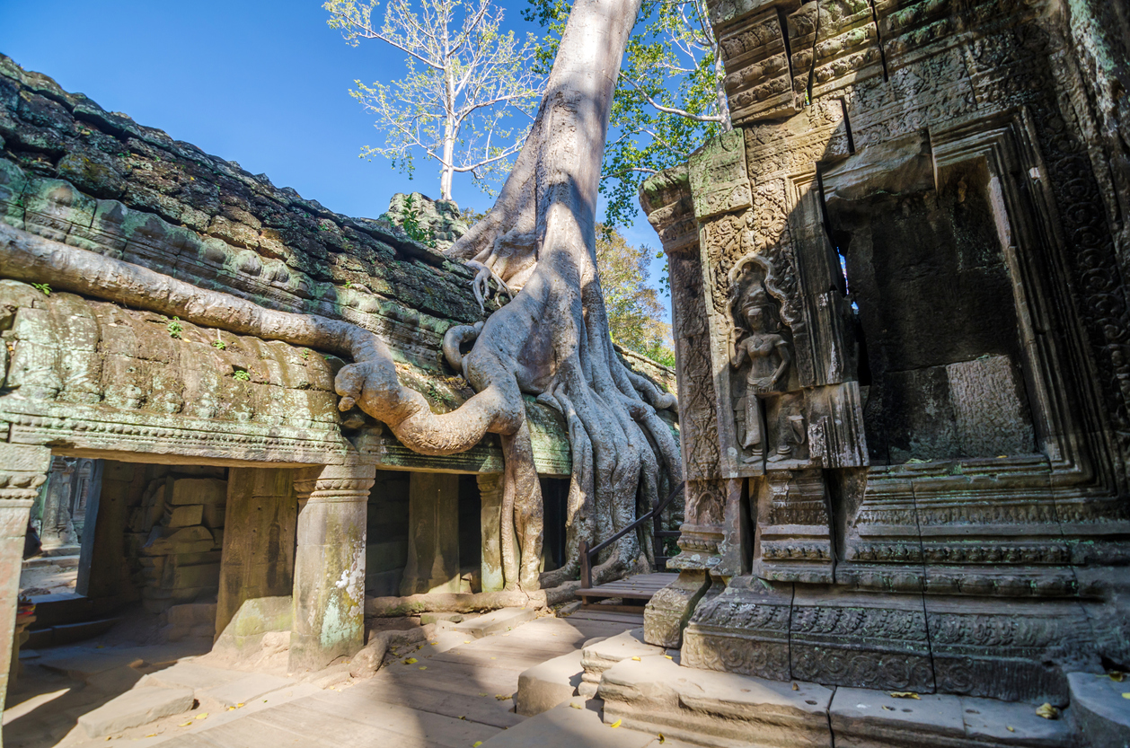 Ta Prohm