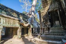 Ta Prohm