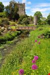 Blarney Castle