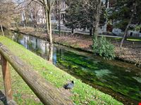 Treviso