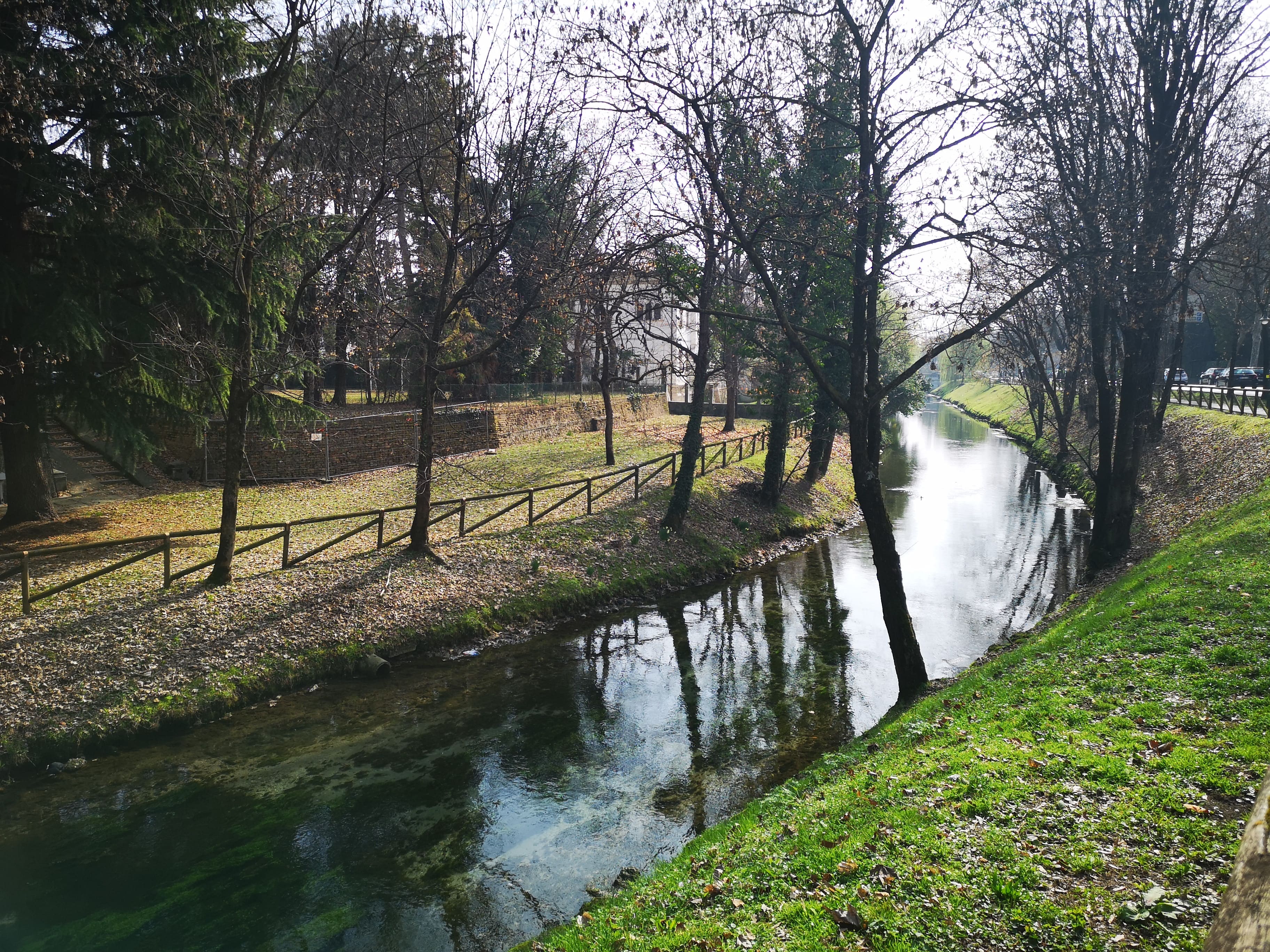 Treviso